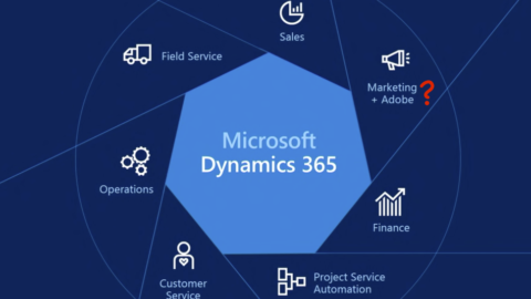 Microsoft Dynamics 365 Consulting in UAE